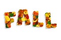 Curved word "FALL" made with colorful hawthorn, maple, alder, oak fall leaves, physalis lanterns